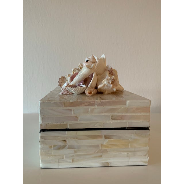 Contemporary Decorative Shell Box For Sale - Image 3 of 5