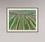 Edition Aerial Views Bernhard Lang Image: "Stripes_of_Suloszowa_006" Size B: 47,2 x 35,4 inches, 120 x 90 cm No 1 of 7,...