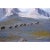A Pack Trip In Wyoming 1960 Holiday makers at a Wyoming dude ranch enjoy a pack trip across a spectacular landscape, USA,...