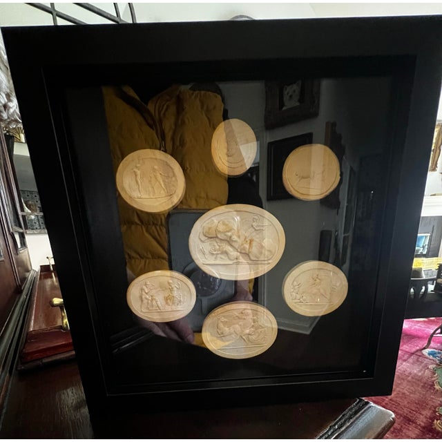 Grand Tour Neoclassical Plaster Intaglio Collection in Shadow Box Frame, Classical Medallions Wall Art For Sale In Chicago - Image 6 of 12