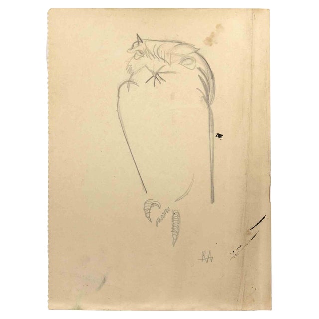 Reynold Arnould, Owl, Drawing, Mid-20th Century For Sale