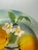 Majolica Plates, France, 20th Century, Set of 2 For Sale - Image 10 of 15