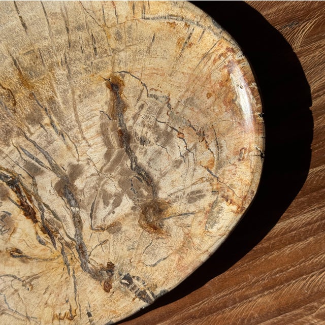 Small Oval Trinket Dish or Tray in Beige Petrified Wood with Crystal Rings, d25-20.5 -3313 For Sale - Image 4 of 18