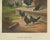The elegant black bantams a rare 19th century poultry lithograph this striking 19th-century chromolithograph, titled...