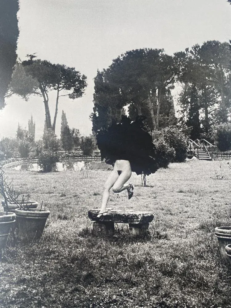 【４冊】HELMUT NEWTON 【メルカリ最安値】 Helmut Newton, In a Garden Near Rome, 1977, Photolithograph | Chairish