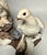 Ceramic Boehm Porcelain Ptarmigan Bird Grouping, Limited Edition For Sale - Image 7 of 11