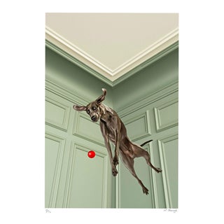 Mr Strange, Charly Jump, 2019, Screen Print For Sale