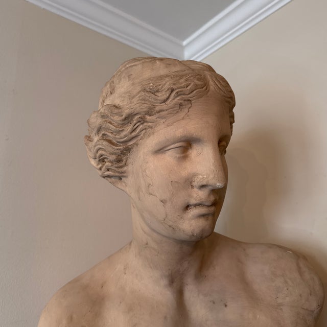 Off-white 1970s Vintage Oversized Elegant Fiberglass Venus De Milo Bust For Sale - Image 8 of 12