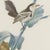 1940s After Descourtilz, Racket-Tailed Motmots and Kingfishers, 1944, Paper For Sale - Image 5 of 12