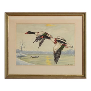 Mid 20th Century Ducks in Flight Watercolour by Jean Herblet (1893-1985) Ex- c.z. Guest Collection For Sale