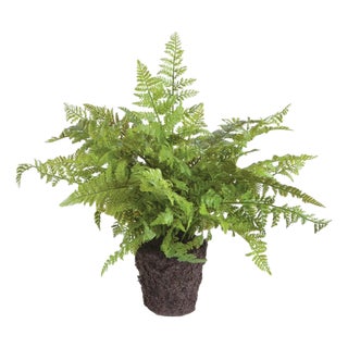 Soft Fern Drop-In 10.5" For Sale