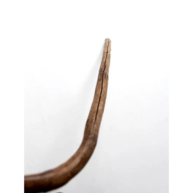 Antique Walking Stick For Sale - Image 6 of 11