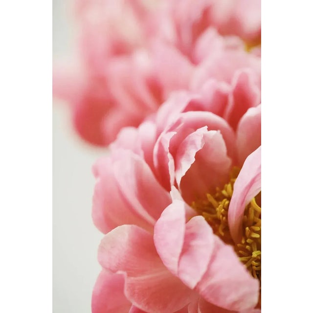 Myra by Alicia Bock, 30" x 45" Unframed Myra by Alicia Bock Print, 30" x 45"