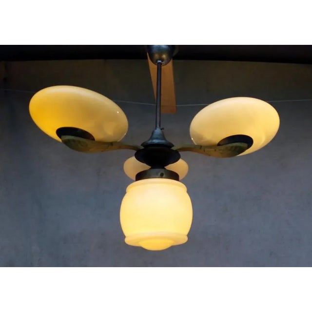 The beautiful Art Nouveau Chandelier dates back to 1900 with a flood from Austria-Hungary. The holder is made of brass and...