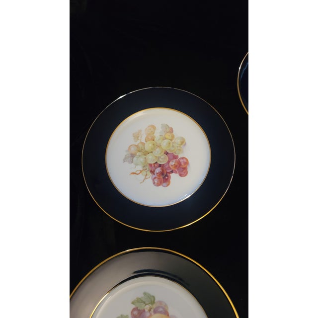 Ceramic 1970s Bountiful Collection by Shumann: Bavaria Salad / Fruit Plate Set (6) Vintage Replacements For Sale - Image 7 of 11