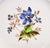 Wedgwood Wedgwood China Corinthian Hampton Court Salad Plates - Set of 2 For Sale - Image 4 of 4
