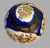 Early 20th Century Chinoiserie Hand Painted Lidded Chinese Ginger Jar For Sale - Image 5 of 9