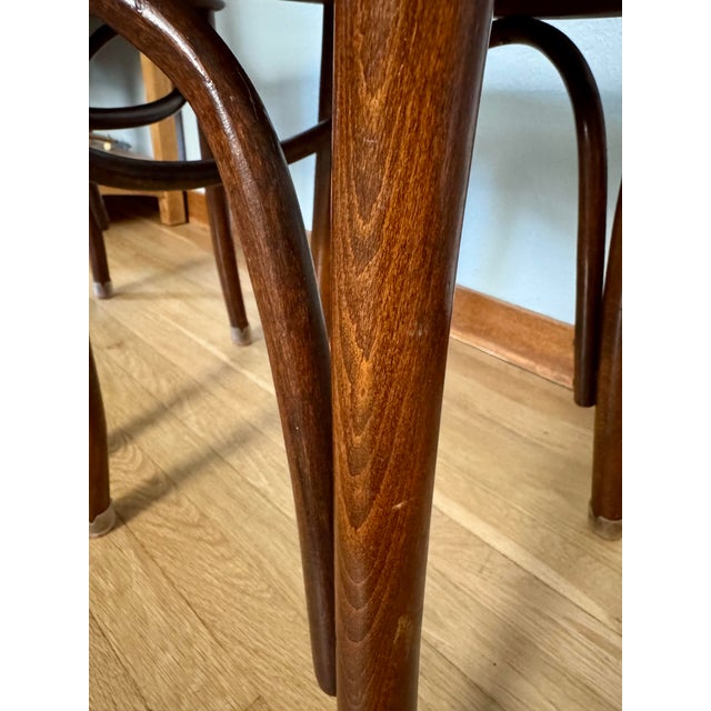 Pair Antique J & J Kohn Mundus Model 337 Bentwood Cafe Chairs Iris Marquetry Seats For Sale - Image 11 of 17