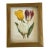 Vintage Van Houtte Floral Tulips Chromolithograph in Golden Frame Reproduction For Sale