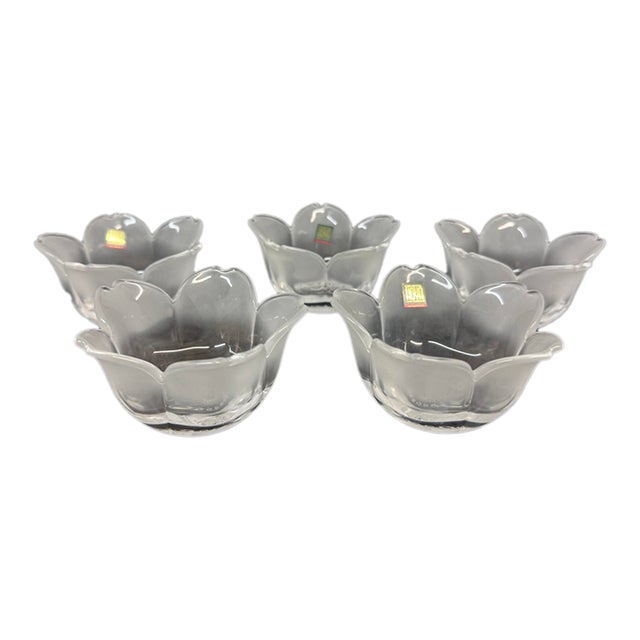 Hoya, Japan Crystal Frosted Dessert Cups in Box, Set of Five For Sale