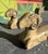 Double Rams Head Glass Coffee Table For Sale - Image 4 of 13