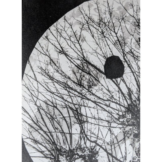 Pablo Picasso Pablo Picasso, Diurnes, Original Photoengraving, 1962 For Sale - Image 4 of 5