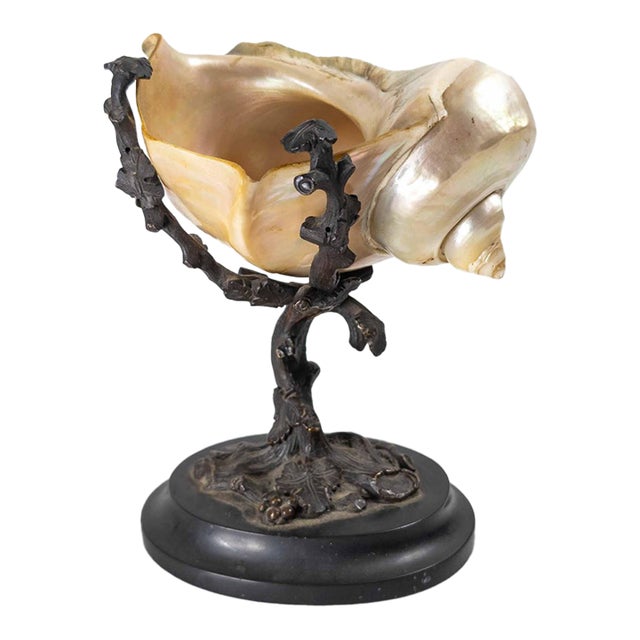 19th Century Continental European French or German Bronze With Turbo Shell, Kunstkammer Object For Sale