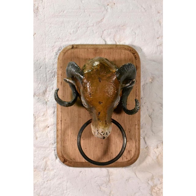 Antique French Rams Head from Butchers Shop, 19th Century For Sale - Image 5 of 10