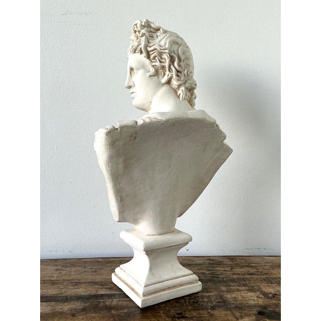 Ceramic Apollo Belvedere Bust Sculpture For Sale - Image 13 of 18