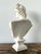 Ceramic Apollo Belvedere Bust Sculpture For Sale - Image 13 of 18