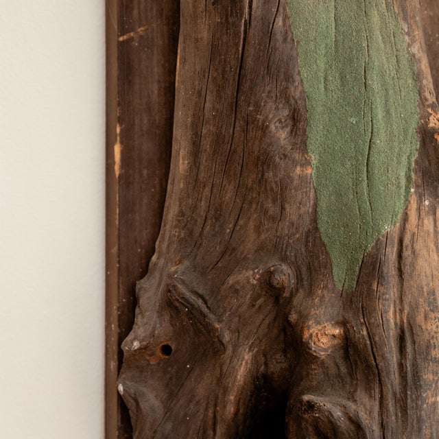 Late 20th Century Sculptural Taxidermy Mount For Sale In Los Angeles - Image 6 of 6