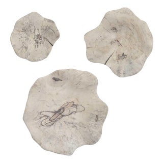 Teo Bleached Wood Wall Decor Set/3 For Sale