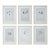Set of 6 - Neutral Colors Palette Organic Modern Botanical Flower Original Oil Paintings / Contemporary Herbarium / Earth Tones / Curly Forms For Sale