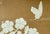 W36"* H96" *4ps, Caramel-Toned Neo-Chinese Floral & Bird Four-Panel Decorative Wallpaper, Chinoiserie Wallpaper For Sale - Image 9 of 12