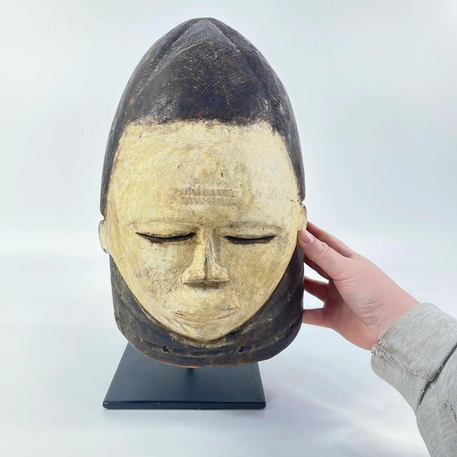 Early 20th Century Early 20th Century Mende Sowei Sande Society Helmet Mask on Custom Stand MATTER COLLECTION For Sale - Image 5 of 6