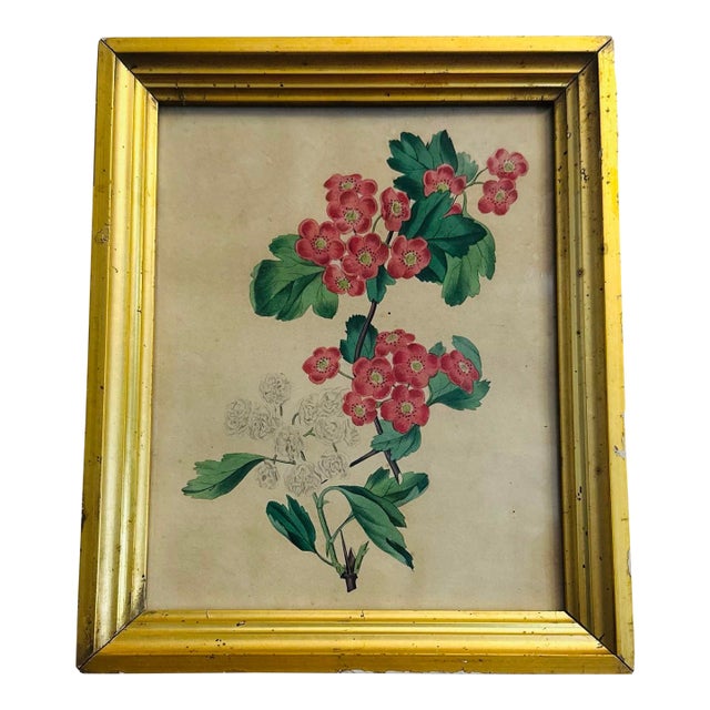 Antique Print in Antique Gold Gilt Frame For Sale