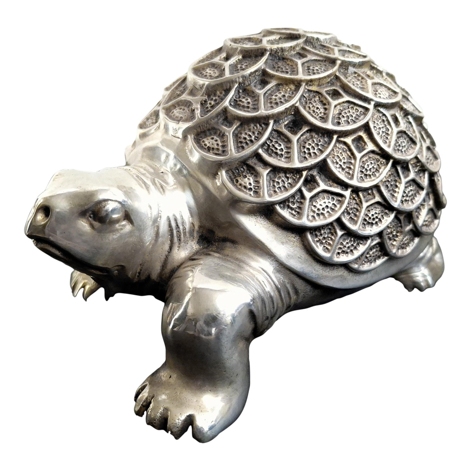 Large Lucky Fang Chuan Turtle | Chairish