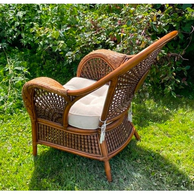 Late 20th Century "Azteca" Woven Rattan Spiderweb Lounge Chairs Featuring Distinctive Sunburst and Web Patterns For Sale - Image 11 of 16