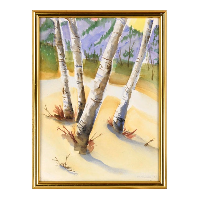 Birch Trees in Spring, Landscape For Sale