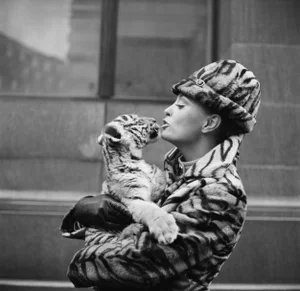 Tiger Lady' Contemporary Archival Black and White Photograph Print From the Original Negative by Getty - 16x16