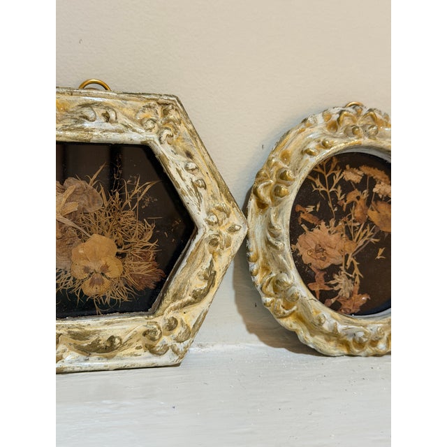 Vintage Set of Two Botanicals, Framed For Sale In Charleston - Image 6 of 9