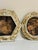 Vintage Set of Two Botanicals, Framed For Sale In Charleston - Image 6 of 9