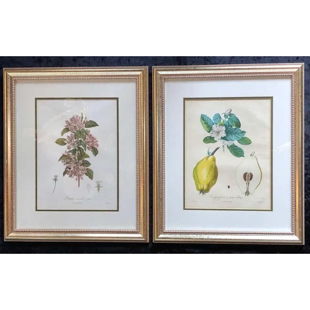 Ten hand-colored color stipple engravings from Traite des Arbres Fruitiers, with margins, each in a fine silver gilt...