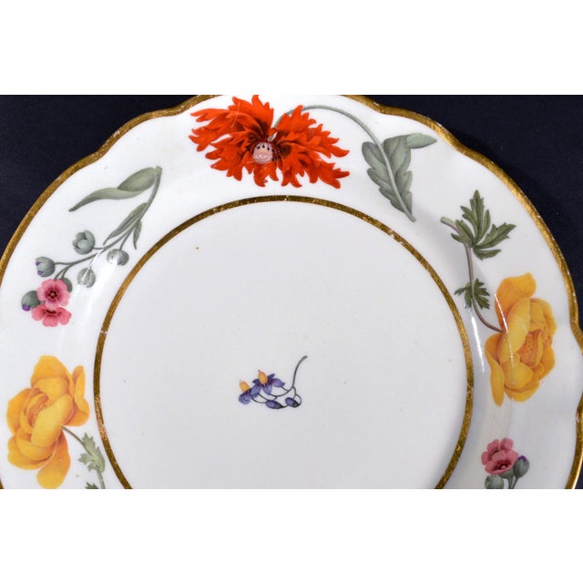 Flight & Barr Worcester Porcelain Botanical Dessert Plate, Circa 1792–1804 For Sale In Philadelphia - Image 6 of 8