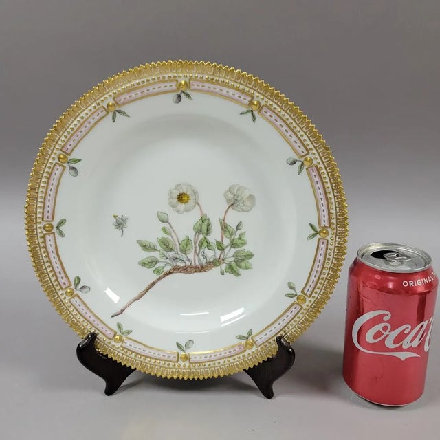 Antique Royal Copenhagen Flora Danica porcelain dinner plate hand-painted with Dryas octopetala, the mountain avens and...