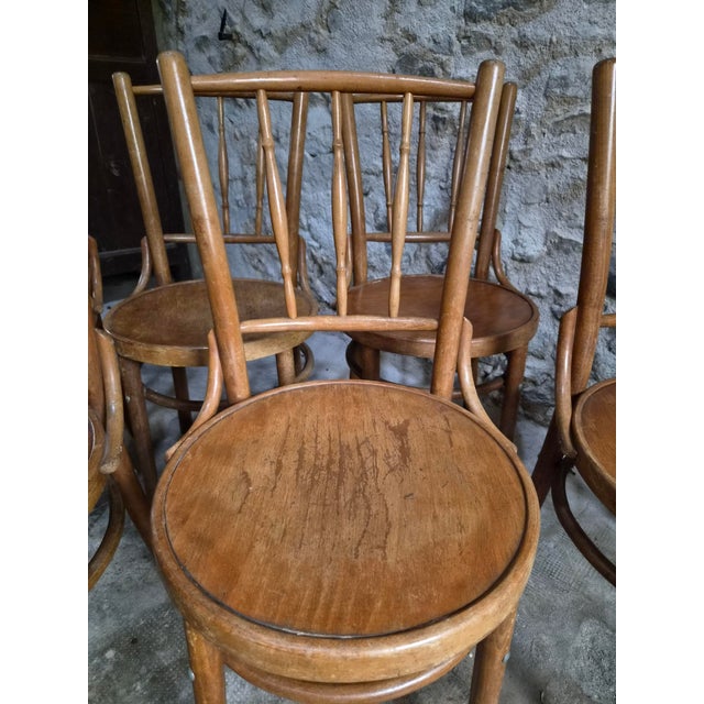 Bentwood Bistro Chairs from Fischel, Former Czechoslovakia, 1930s, Set of 6 For Sale - Image 13 of 18