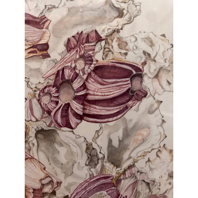 Contemporary "Crustations De La Mer" Contemporary Watercolor Painting, Framed For Sale - Image 3 of 6