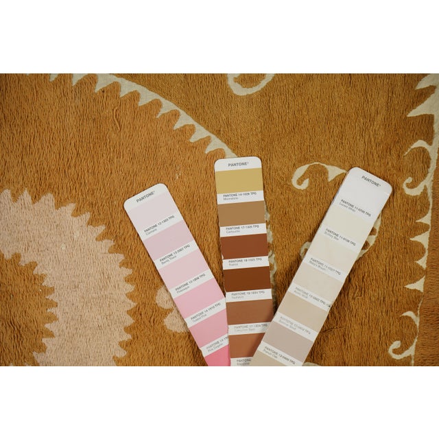 Pale Suzani From Samarkand Uzbekistan - Wall Textile For Sale - Image 9 of 10