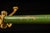 Metal Mid-20th Century Schoolhouse Coat Rack in Green and Yellow For Sale - Image 7 of 7