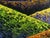 2020s Oil Painting Hiking in the Mountains in the Evening v. Zadorozhnya For Sale - Image 5 of 8